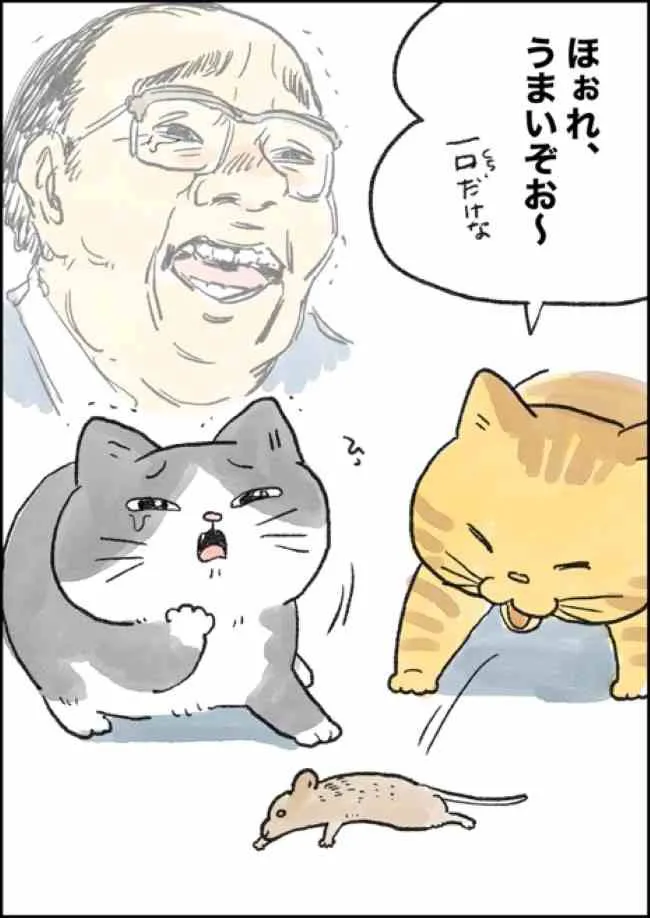 ねこに転生したおじさん(7/127)