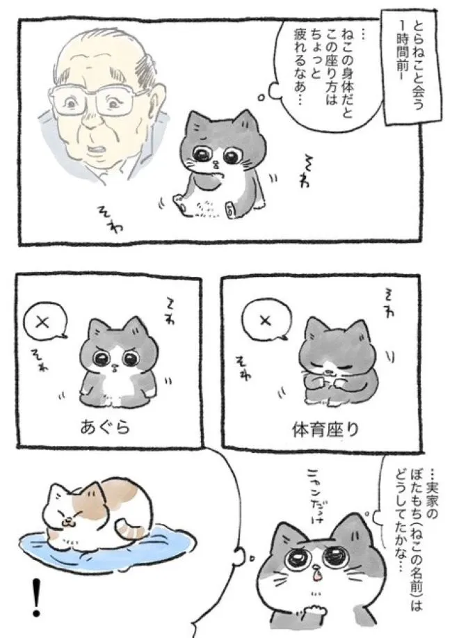 ねこに転生したおじさん(8/127)