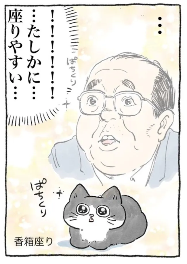 ねこに転生したおじさん(9/127)