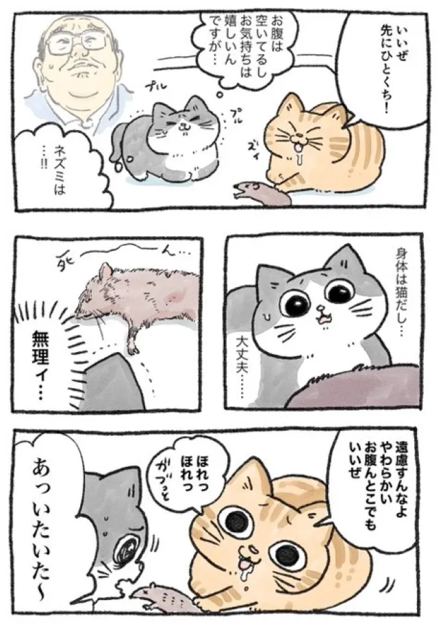 ねこに転生したおじさん(10/127)