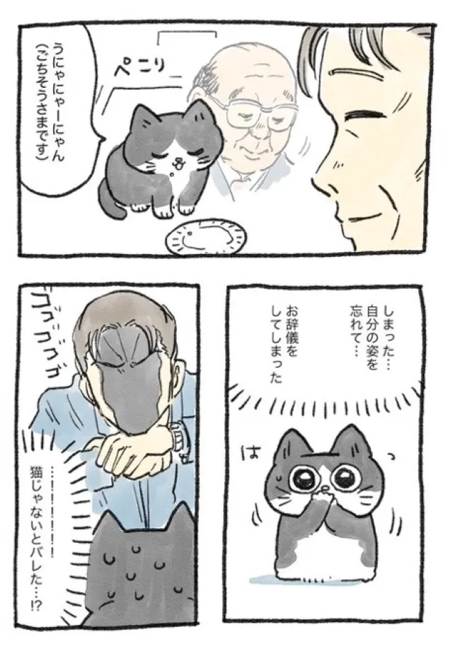 画像・写真 【漫画】トラックにはねられ気がついたら猫に転生…おじさん