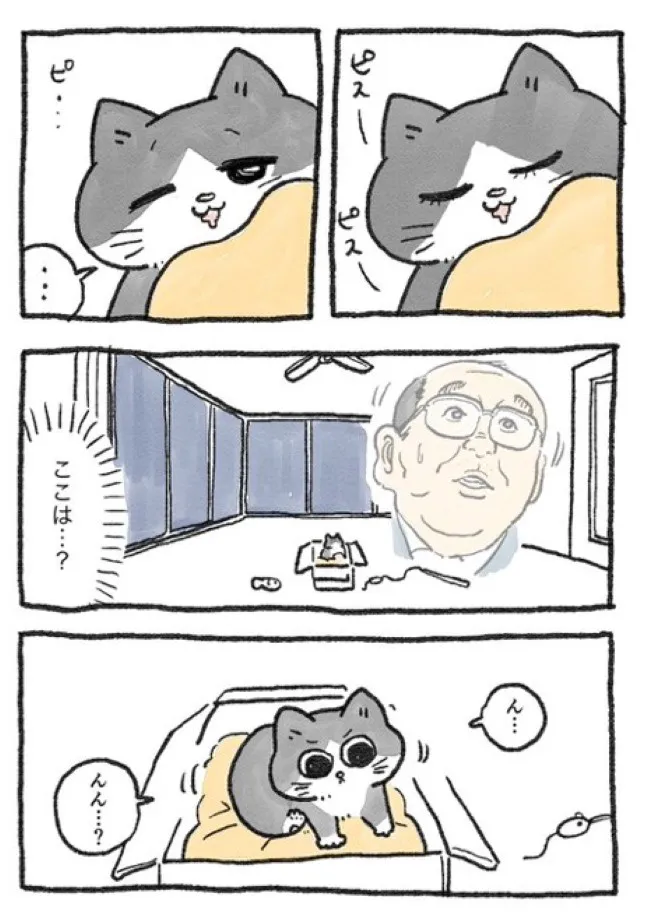 ねこに転生したおじさん(17/127)