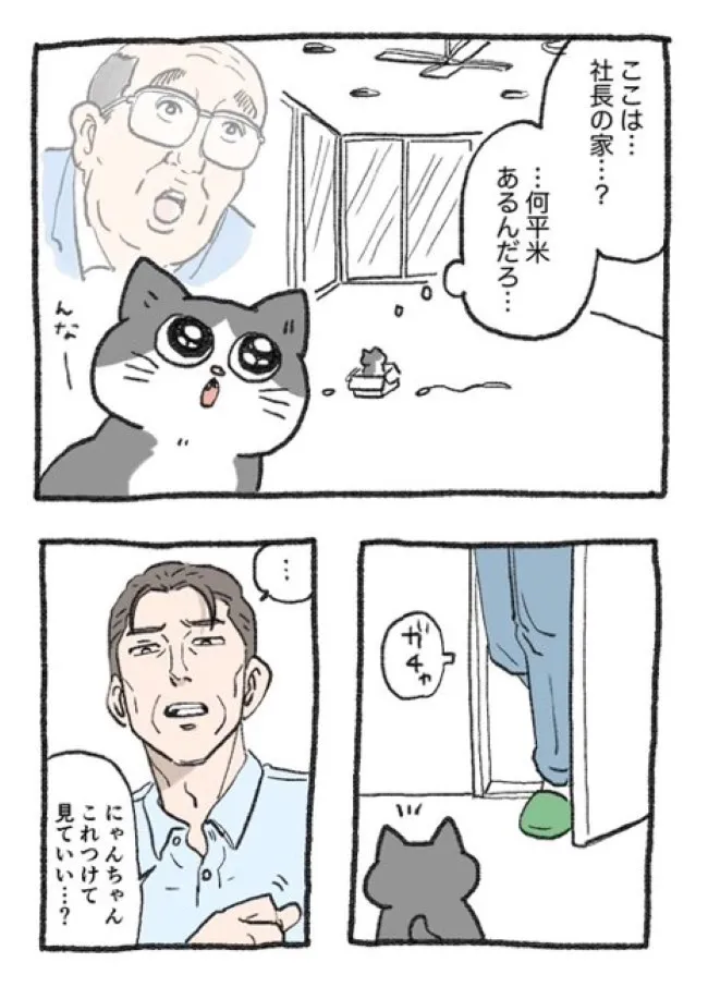 ねこに転生したおじさん(19/127)