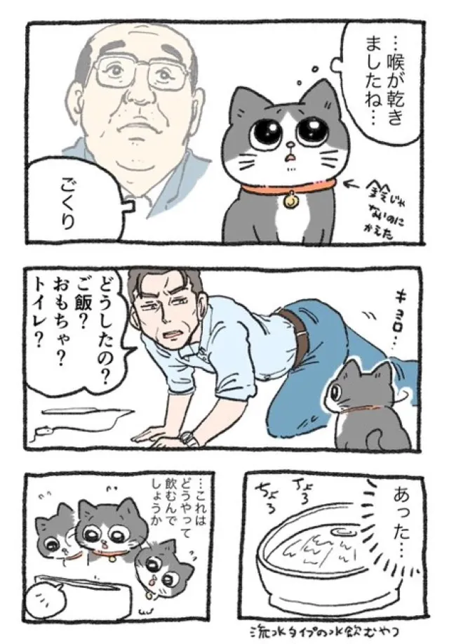 ねこに転生したおじさん(24/127)