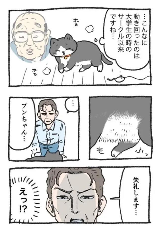 ねこに転生したおじさん(28/127)