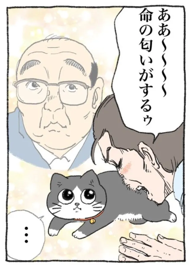 ねこに転生したおじさん(29/127)