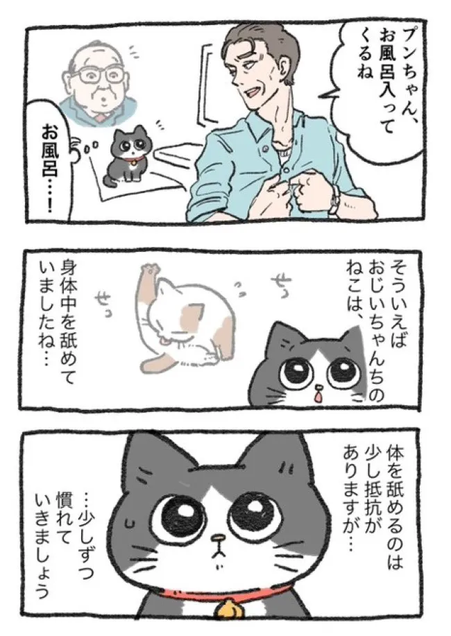 ねこに転生したおじさん(44/127)