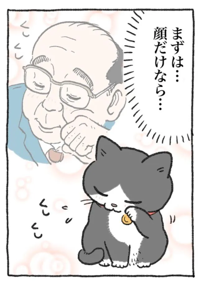 ねこに転生したおじさん(45/127)