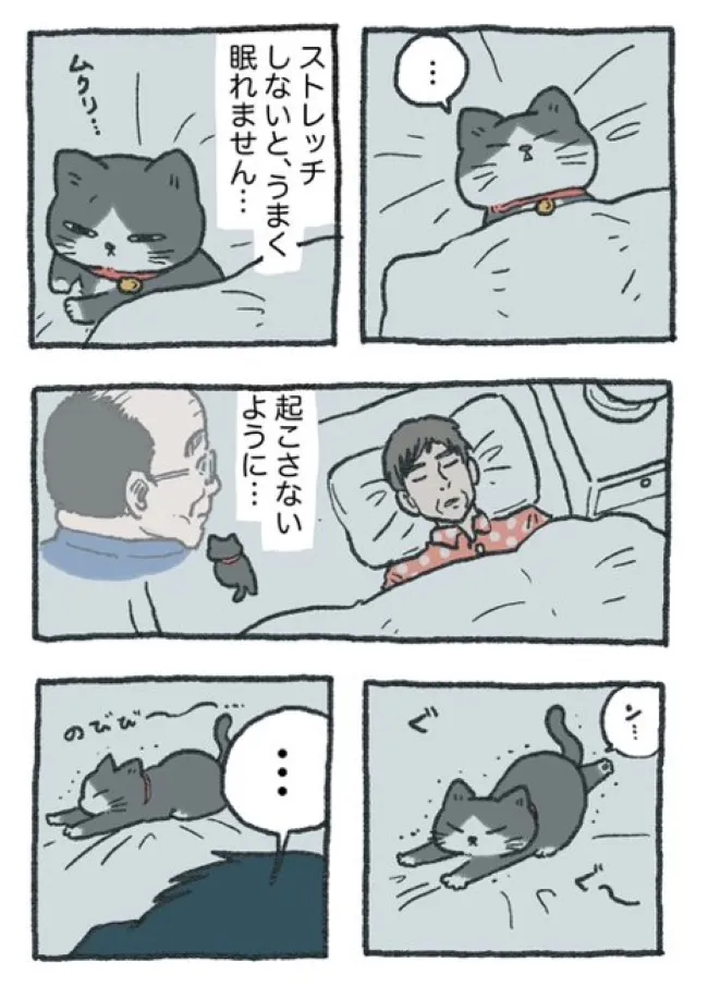 ねこに転生したおじさん(50/127)