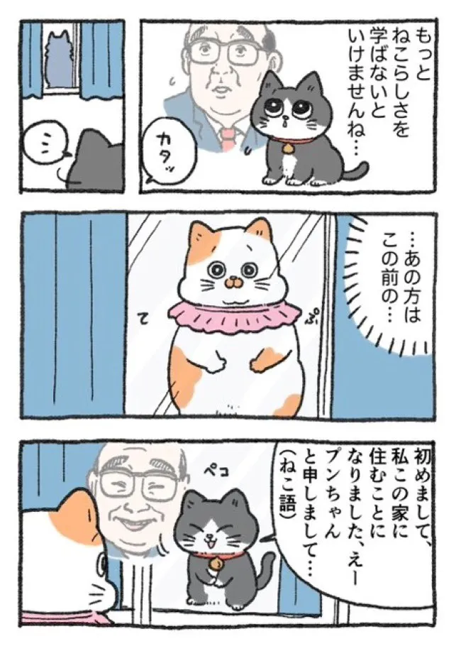 ねこに転生したおじさん(62/127)