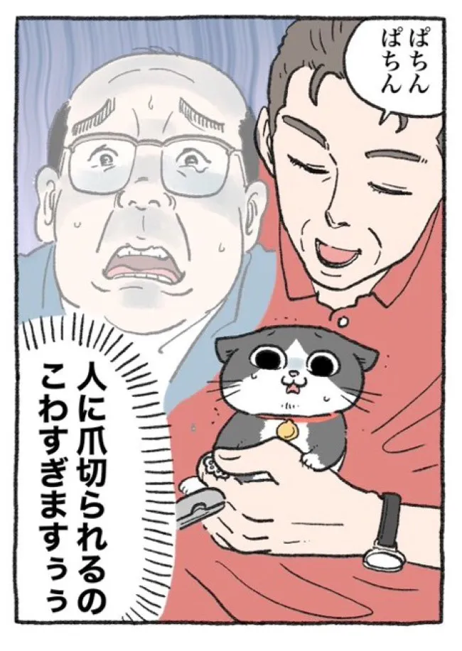 ねこに転生したおじさん(81/127)