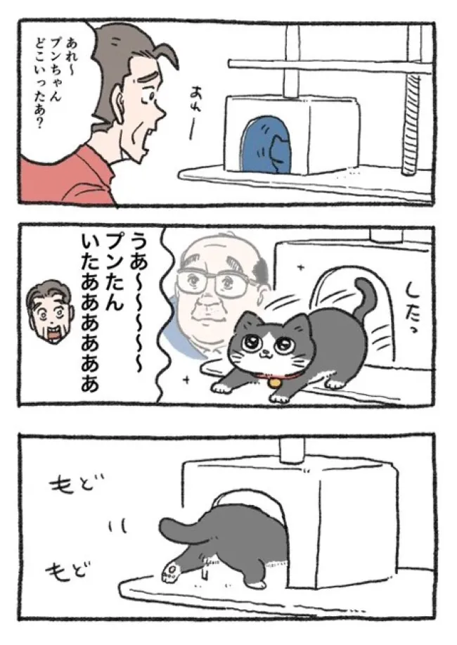 ねこに転生したおじさん(86/127)