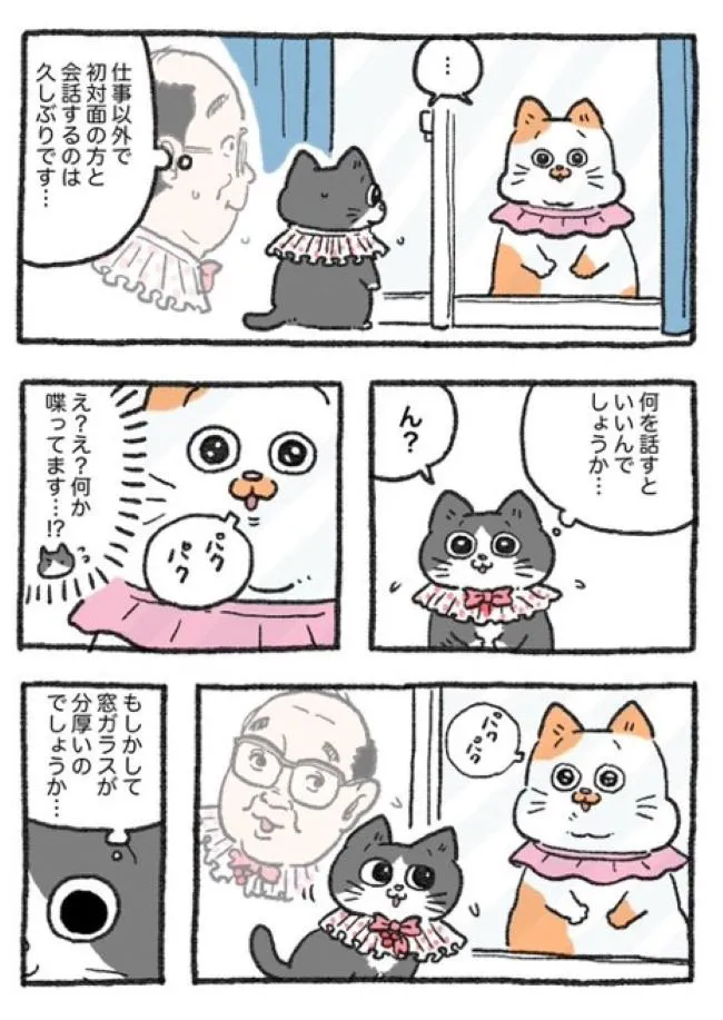 ねこに転生したおじさん(92/127)