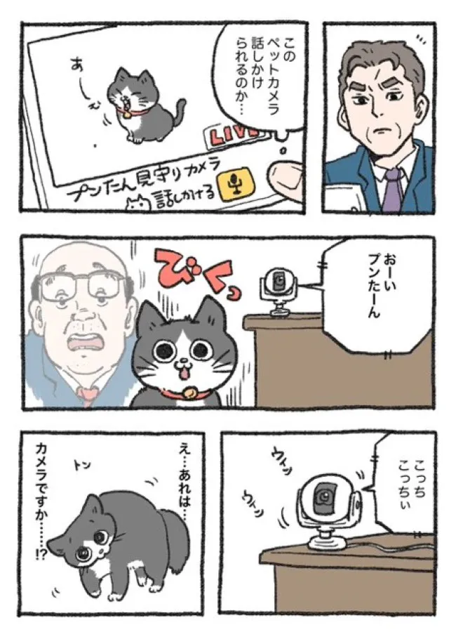 ねこに転生したおじさん(96/127)