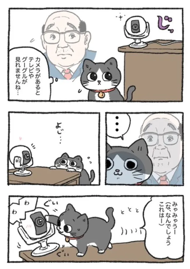 ねこに転生したおじさん(98/127)