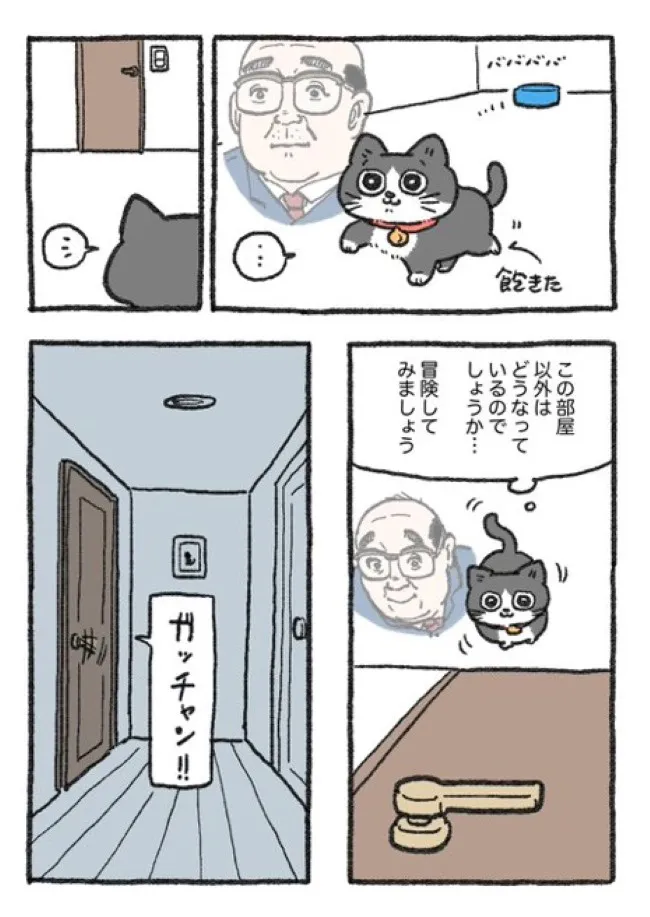 ねこに転生したおじさん(104/127)