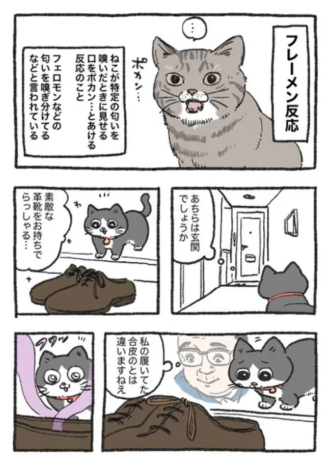 ねこに転生したおじさん(106/127)