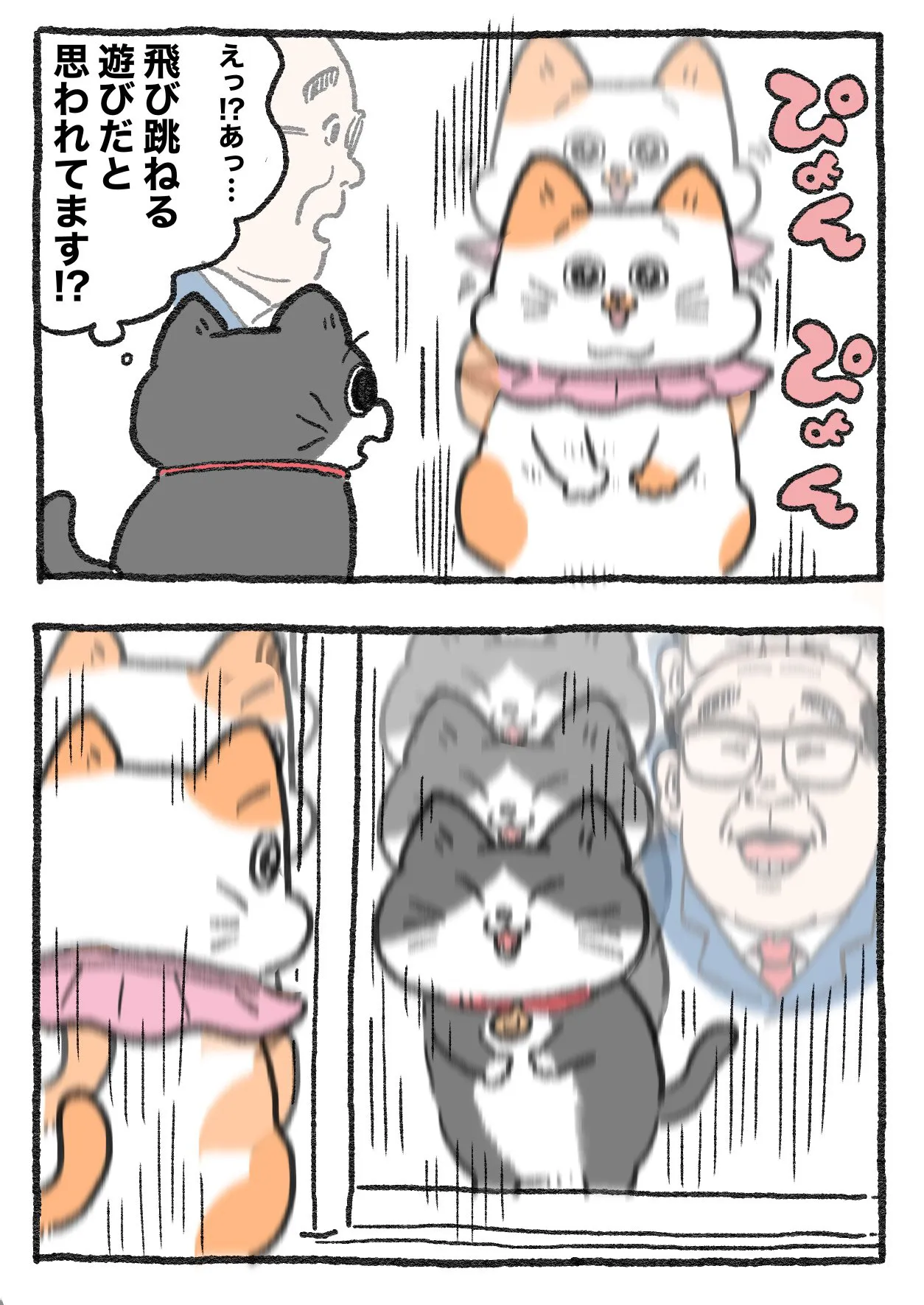 ねこに転生したおじさん(119/127)