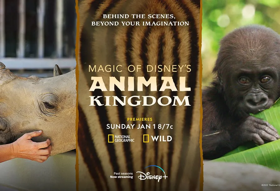 「Magic of Disney’s Animal Kingdom ディズニー・アニマルキングダムの魔法」シーズン2より