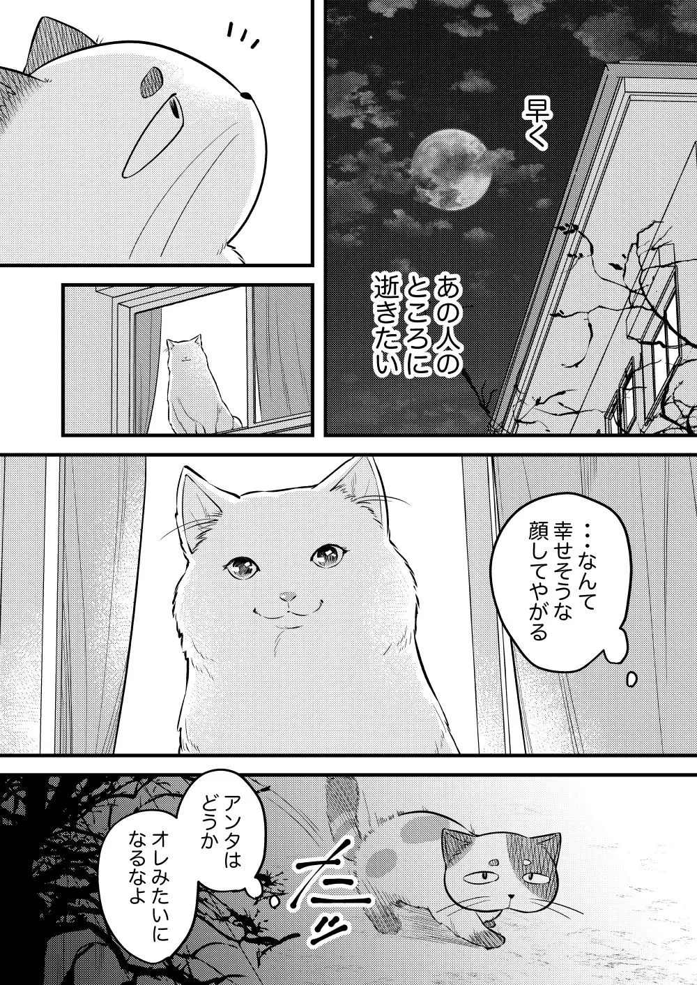 100年生きた猫のはなし (5/18)