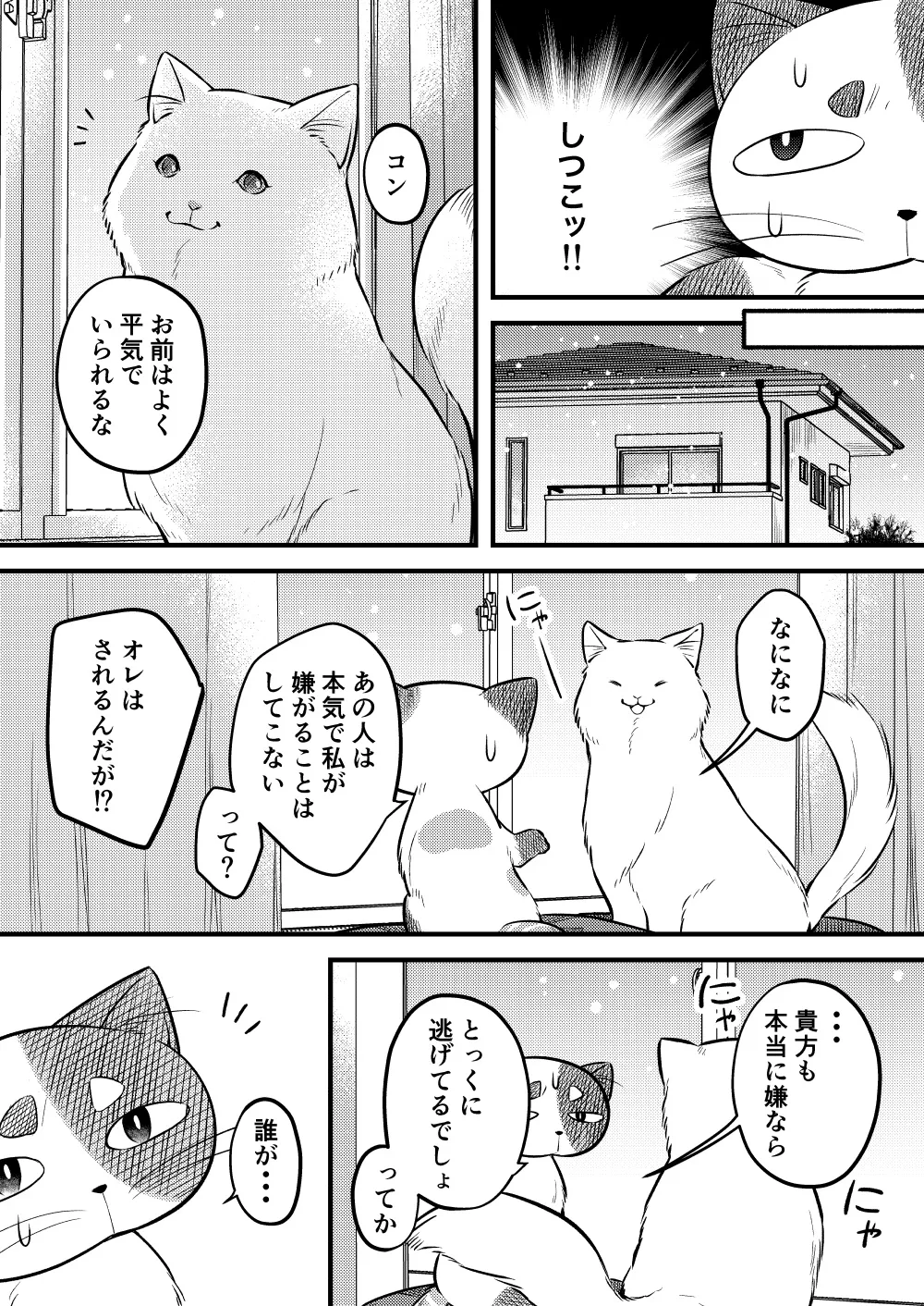 100年生きた猫のはなし (11/18)