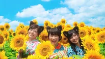 ひまわりに囲まれて笑顔を見せる白石麻衣、秋元真夏、寺田蘭世