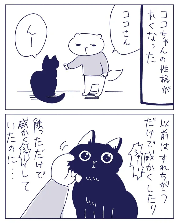 実家の猫(1/5)