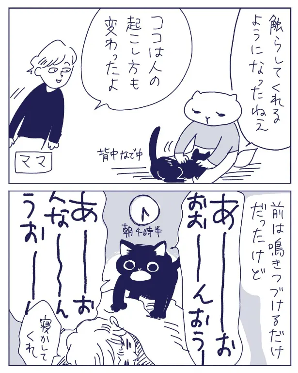 実家の猫(2/5)