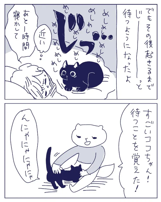 実家の猫(4/5)