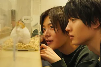 ＜クールドジ男子＞“毒”は一切なしの「優しい世界」で視聴者を魅了…NCT 127・中本悠太ら主人公たちのキャスティング秘話に迫る