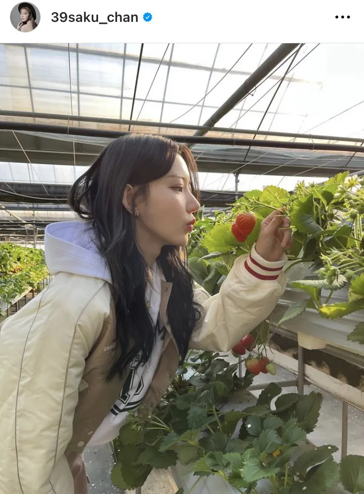  大きく真っ赤に実ったいちごをじっと見つめる宮脇咲良