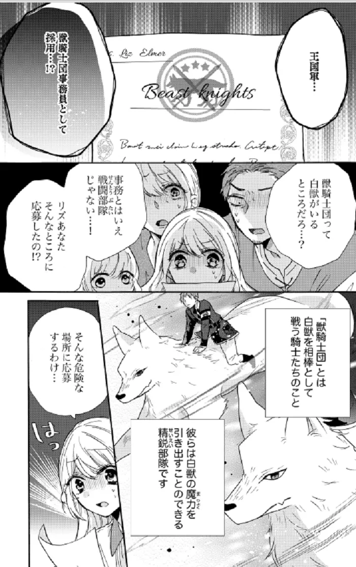 平凡な私の獣騎士団もふもふライフ⑥