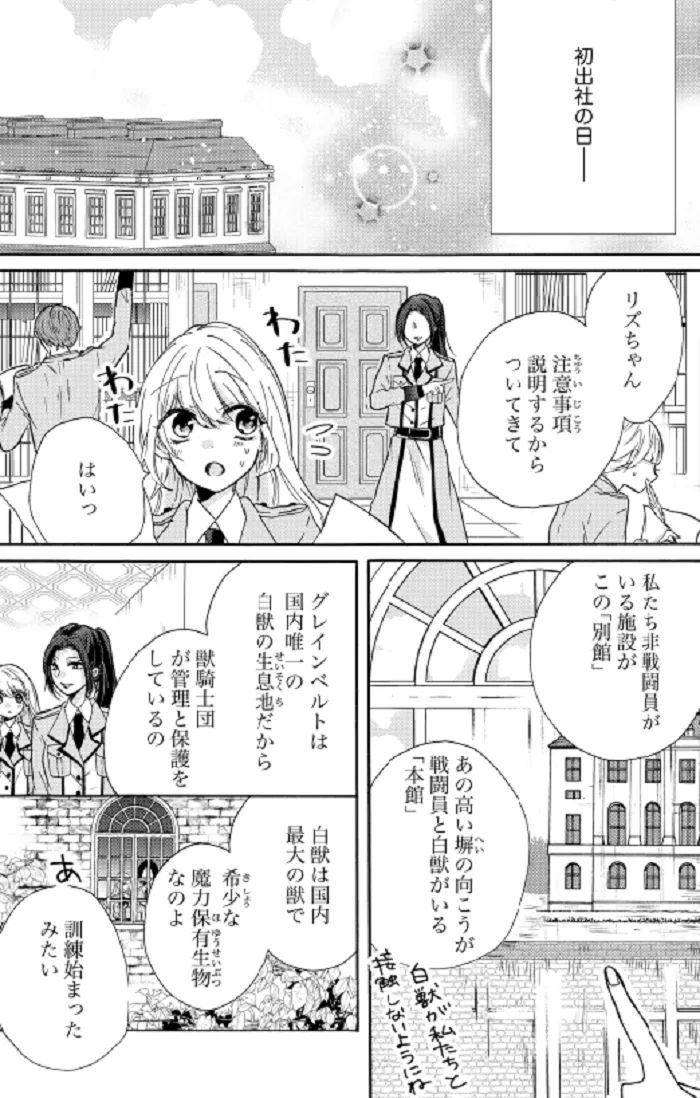 平凡な私の獣騎士団もふもふライフ⑧