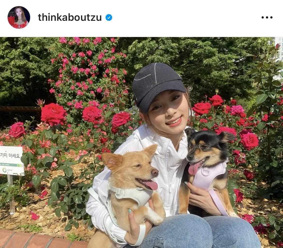 ※TWICE TZUYU Instagram(thinkaboutzu)より