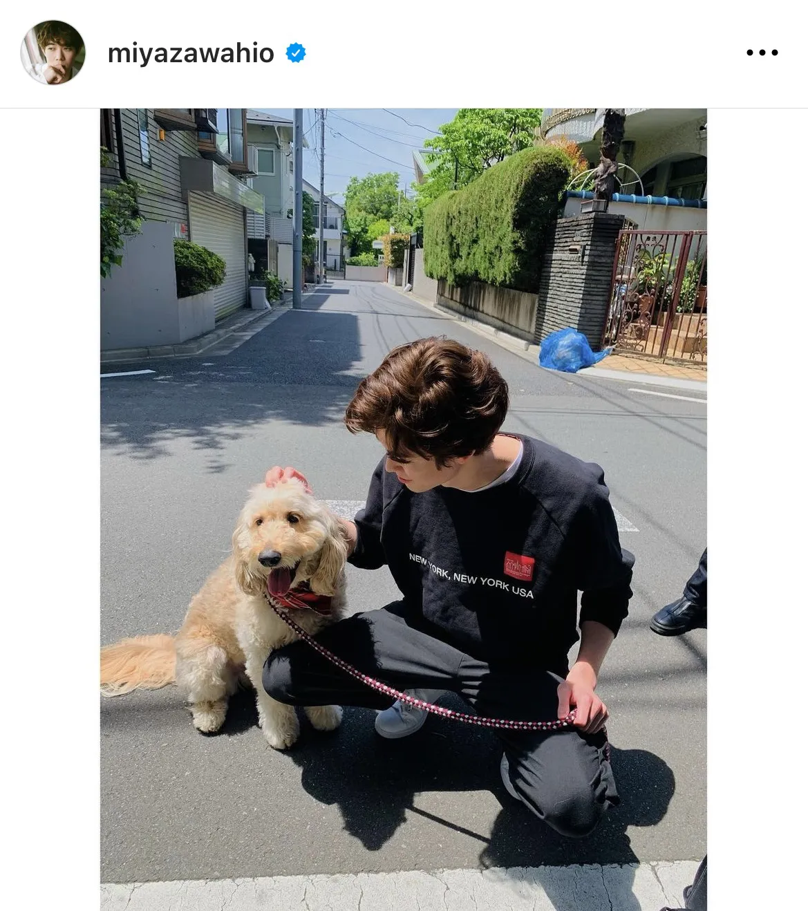 ※宮沢氷魚公式Instagram(miyazawahio)より