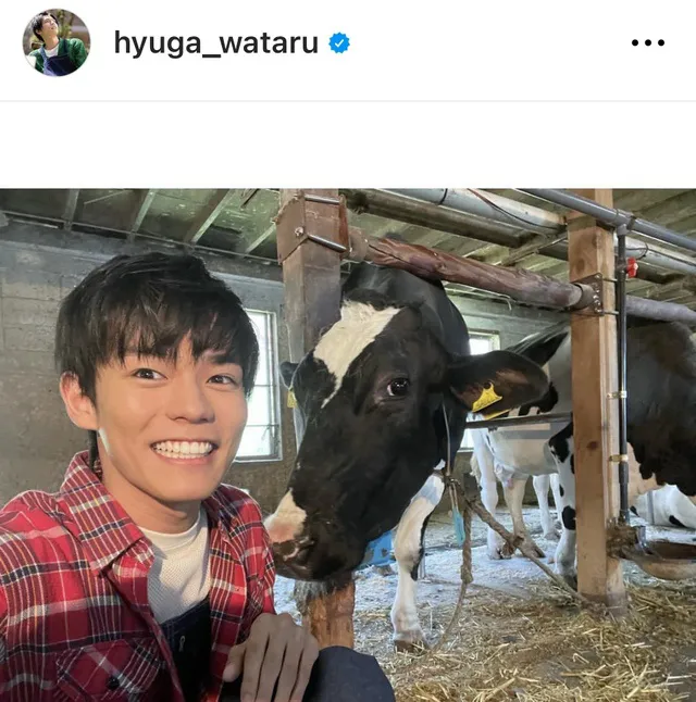 ※画像は日向亘Instagram (hyuga_wataru)より