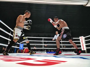 横浜流星、プロボクサー役で本気の肉体改造　映画「春に散る」場面写真が解禁