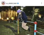 ※セントチヒロ・チッチ公式Instagram(cc_chittiii_bish)より