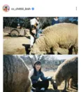 ※セントチヒロ・チッチ公式Instagram(cc_chittiii_bish)より