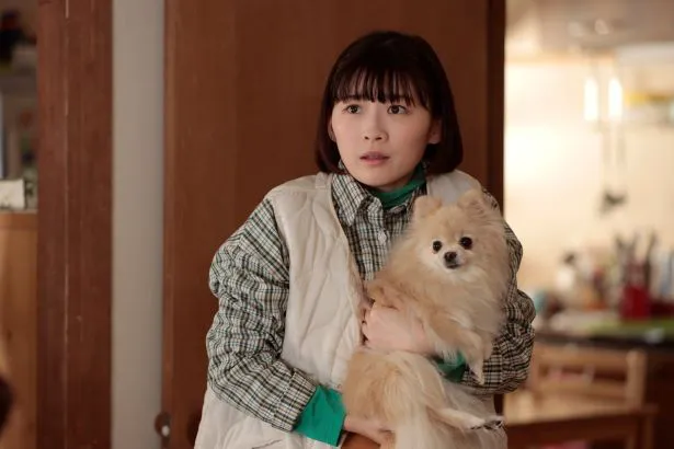 伊藤沙莉主演「シッコウ！！～犬と私と執行官～」のプロデューサー・川島誠史氏にインタビューを実施