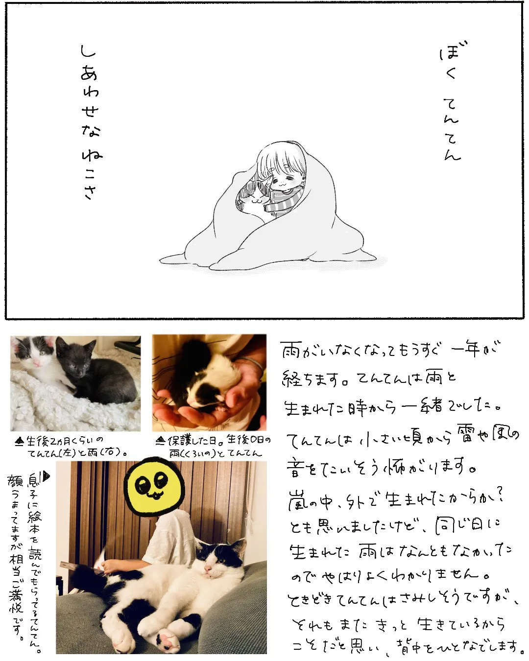 雷がこわい猫と息子⑦