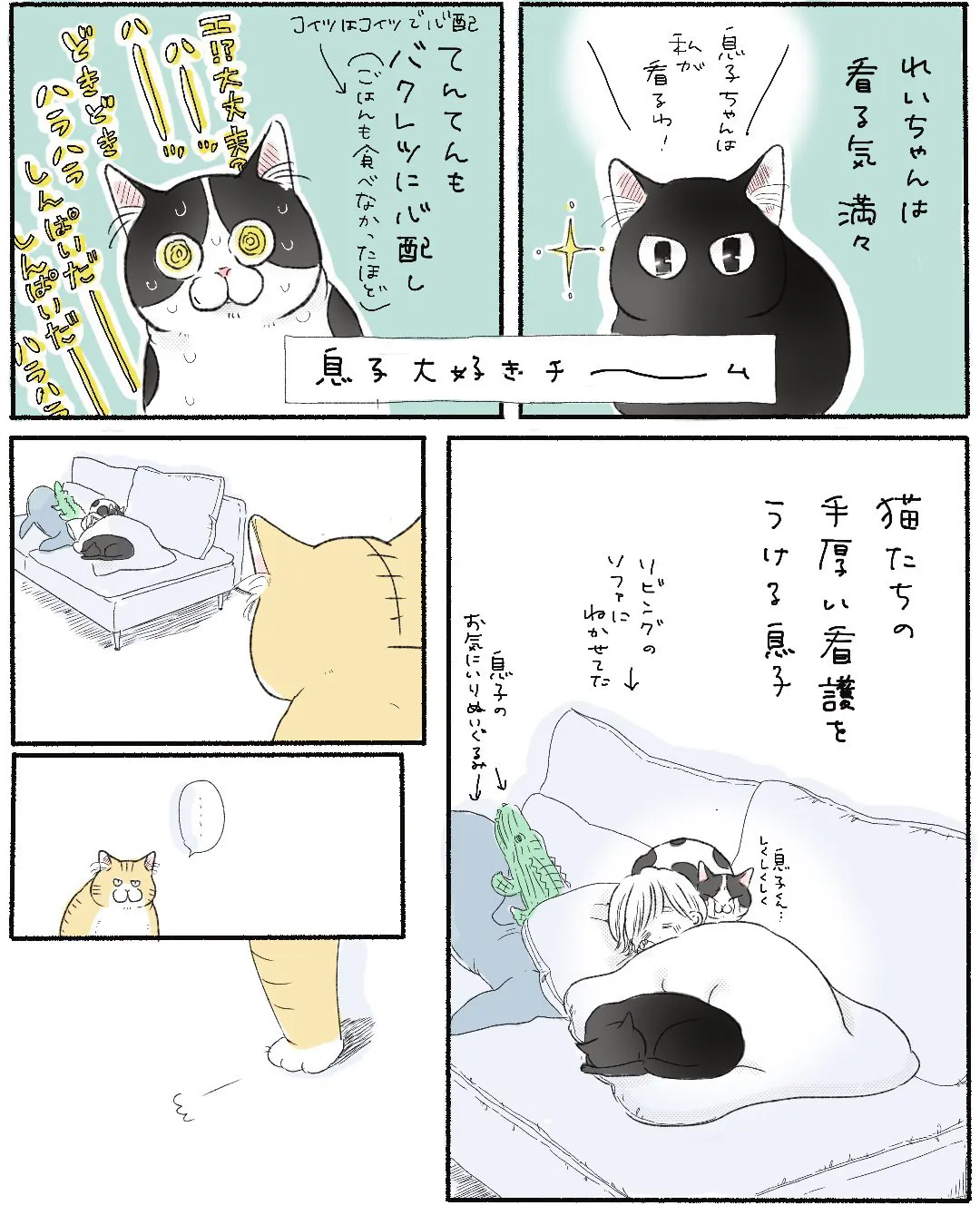 猫、息子に心開いたっぽい②