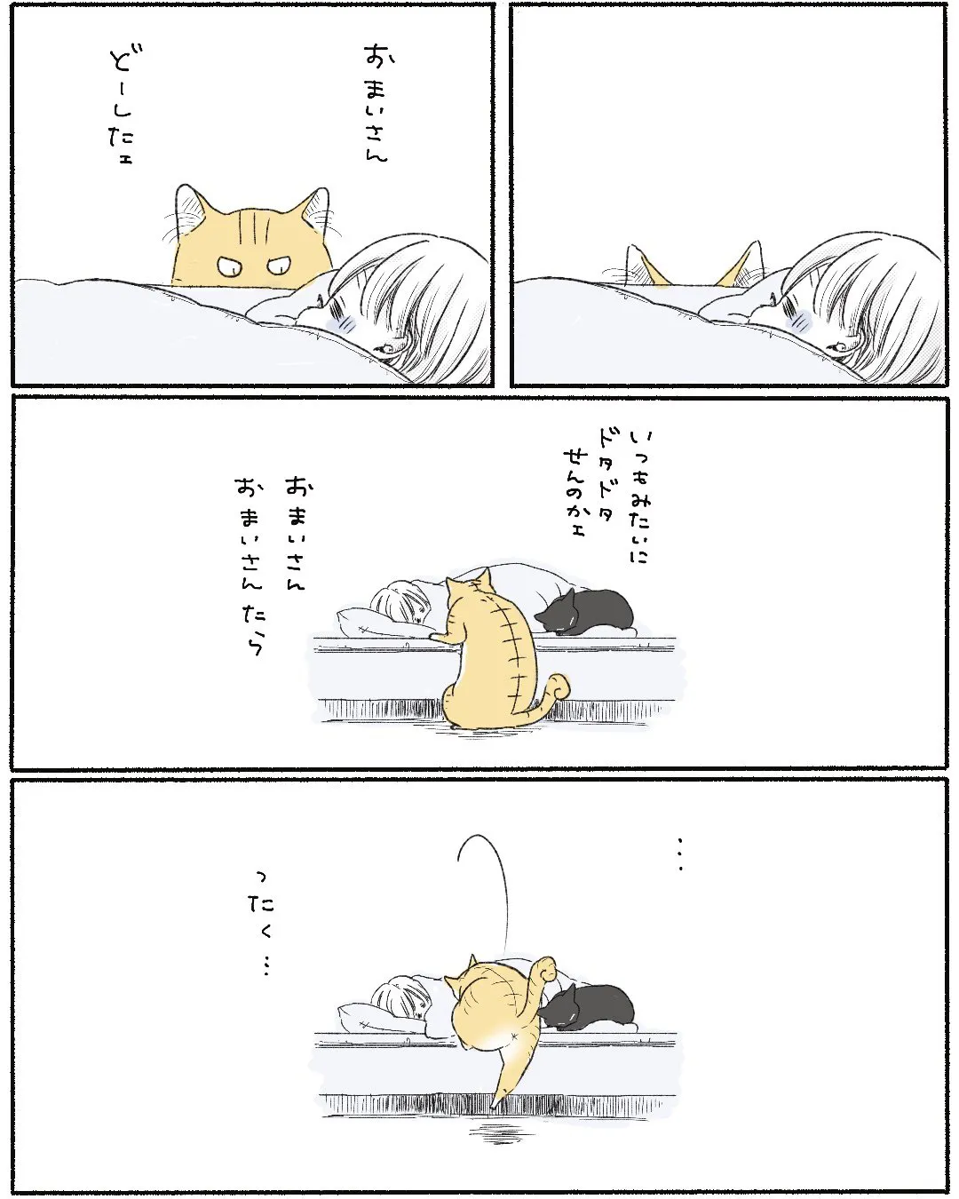 猫、息子に心開いたっぽい③