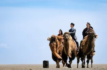 堺雅人、阿部寛、役所広司ら主役級キャストが勢揃い　いまだベールに包まれた日曜劇場「VIVANT」がついに始動