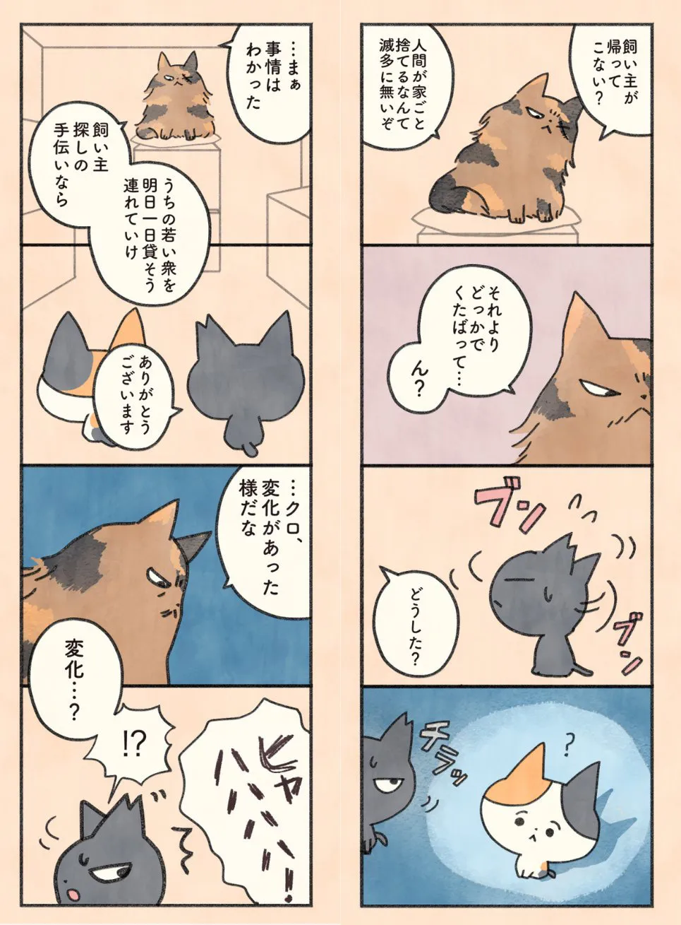 『もしもなんて来ないと思ってた猫』(11/61)