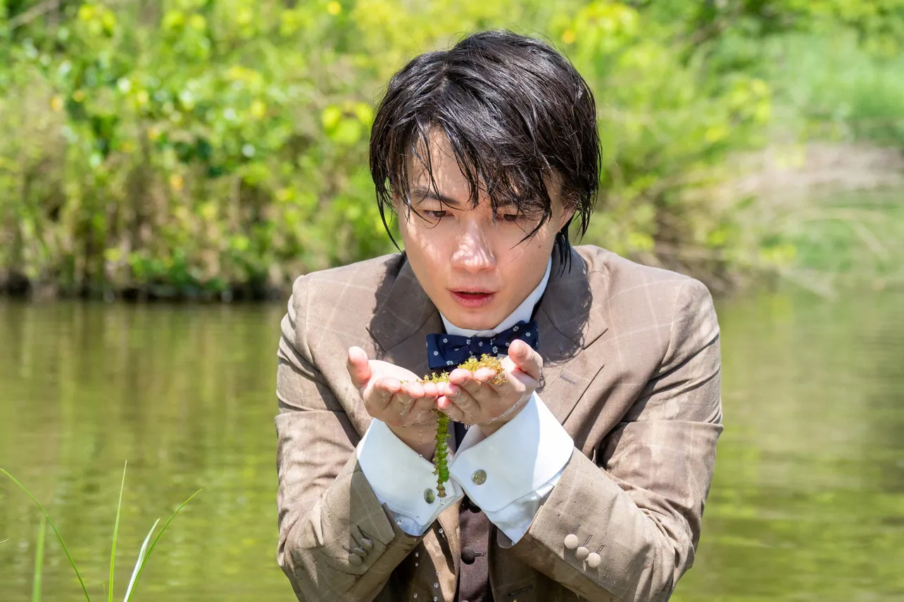 【写真】水生植物をまじまじと見る万太郎(神木隆之介)