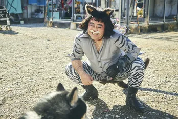 <季節のない街>皆川猿時がでっぷりとした猫の日常を愛嬌たっぷりに熱演した本編映像が公開