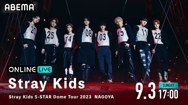 生配信が決定したStray Kidsによる日本初のドームツアー「Stray Kids 5-STAR Dome Tour 2023」