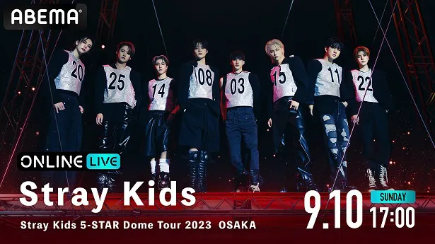 【写真】初となる日本4大ドームツアーを開催するStray Kids