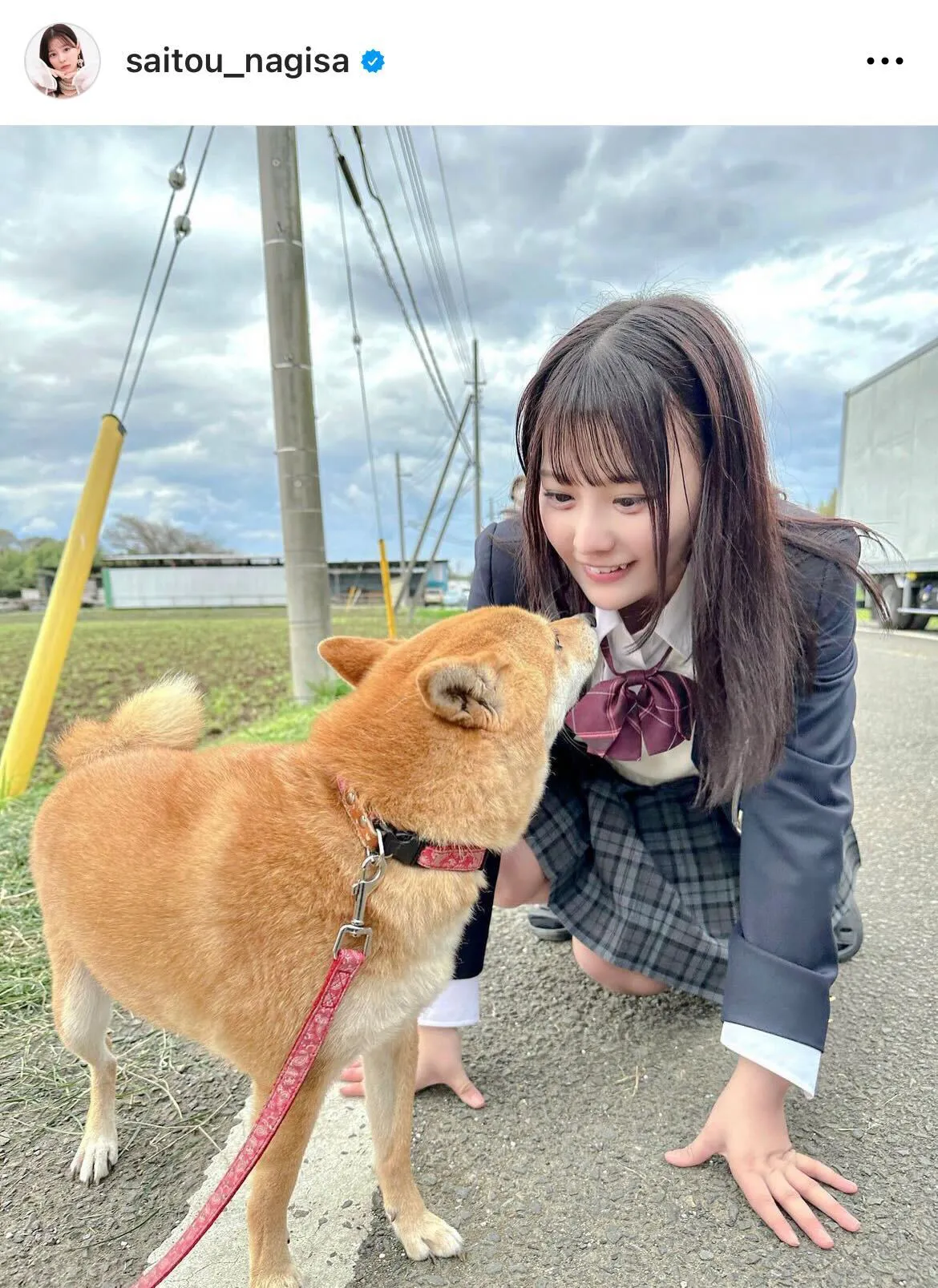  柴犬と見つめあいショット